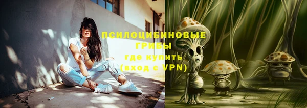 ПСИЛОЦИБИНОВЫЕ ГРИБЫ Алексеевка