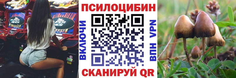Галлюциногенные грибы прущие грибы  Собинка 